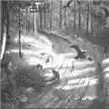 Burzum Hvis Lyset Tar Oss