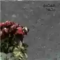 Celan Halo