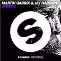 Martin Garrix & Jay Hardway Wizard