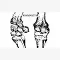 The Hornet's CAOS MELODICO