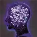 Enter Shikari Enter Shikari: The Mindsweep
