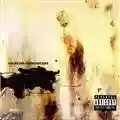Nine Inch Nails The Downward Spiral