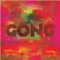 Gong The Universe Also Collapses