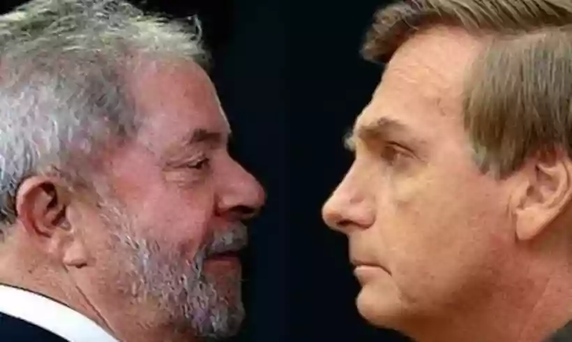 Ingrandisci questa immagine