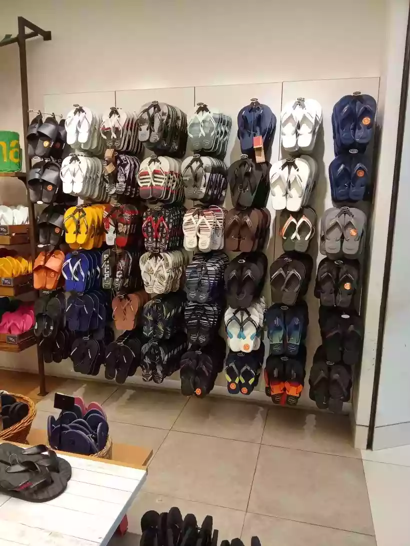 Ingrandisci questa immagine