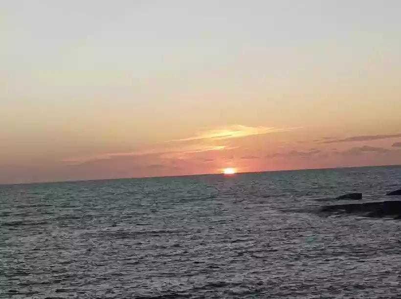 Ingrandisci questa immagine