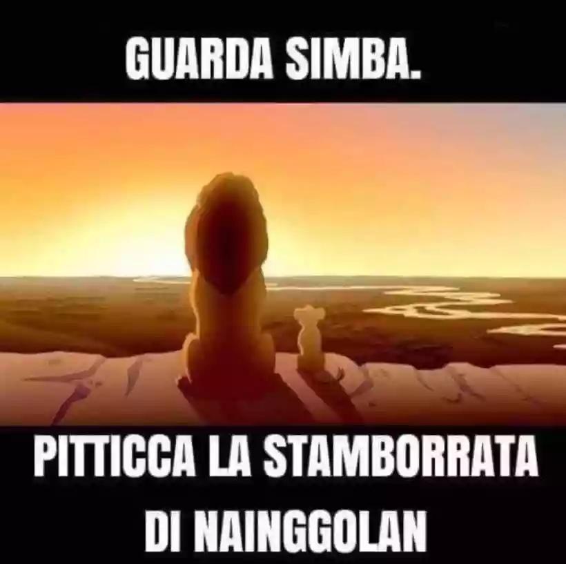 Ingrandisci questa immagine