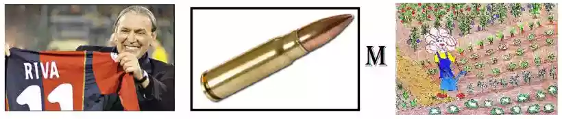 Ingrandisci questa immagine