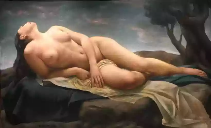 Ingrandisci questa immagine