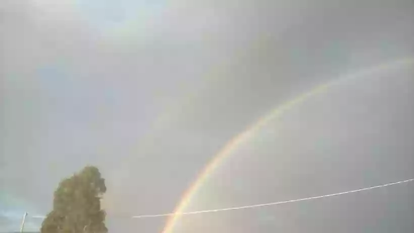 Ingrandisci questa immagine
