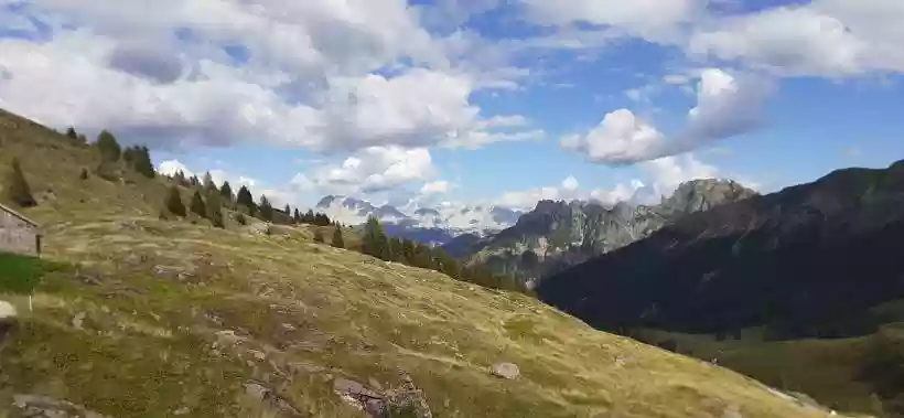 Ingrandisci questa immagine