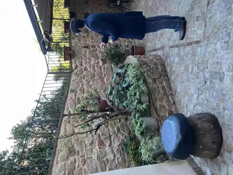 Ingrandisci questa immagine