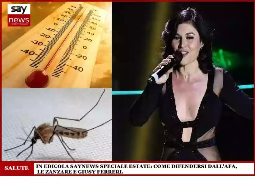 Ingrandisci questa immagine