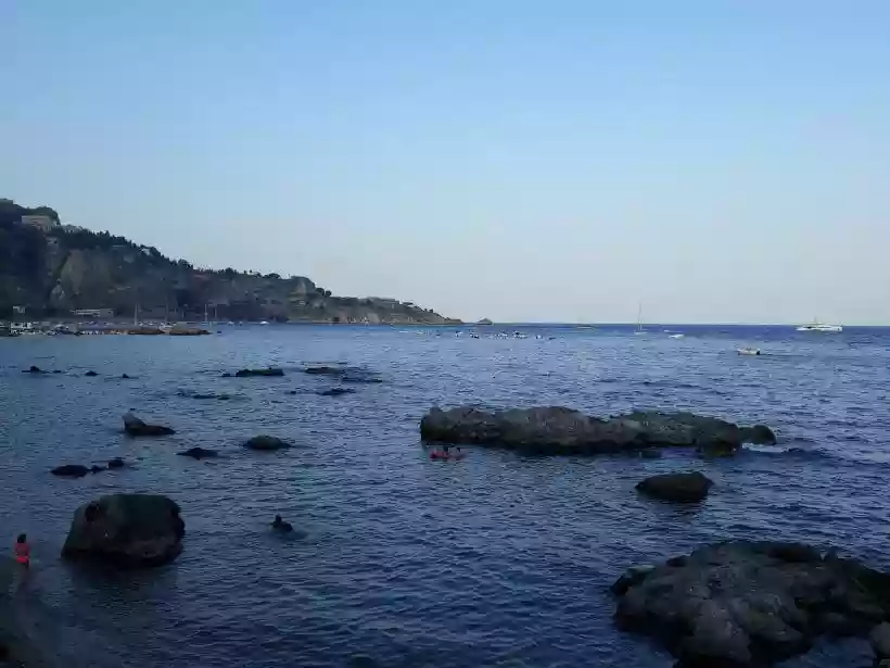 Ingrandisci questa immagine
