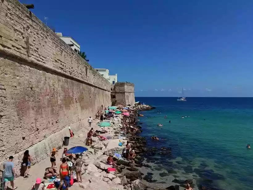 Ingrandisci questa immagine
