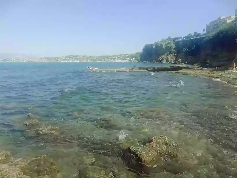Ingrandisci questa immagine