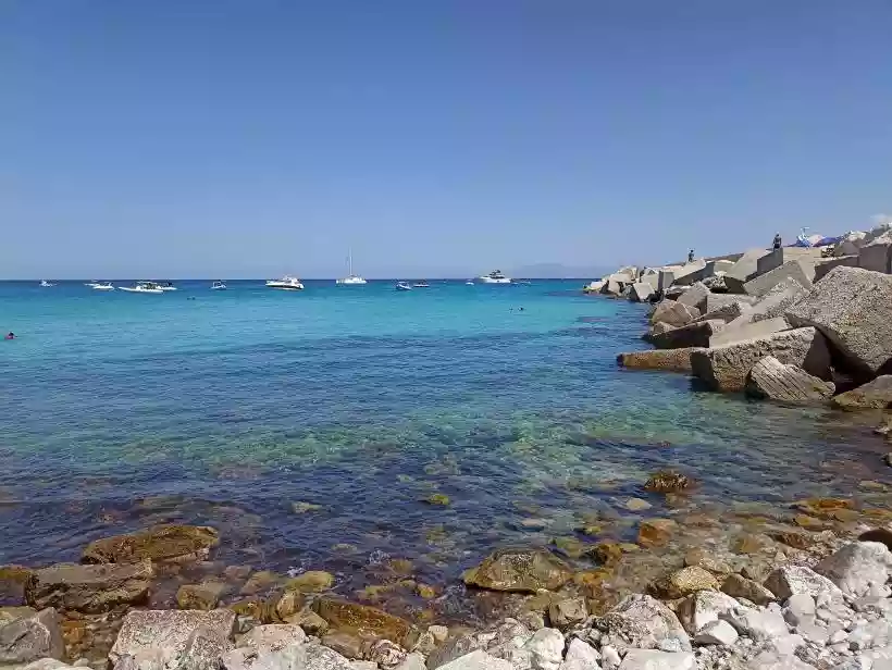 Ingrandisci questa immagine