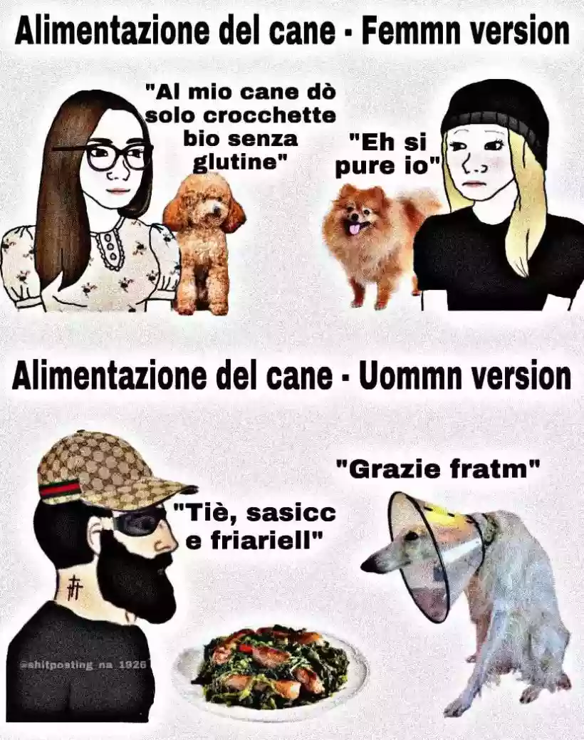 Ingrandisci questa immagine