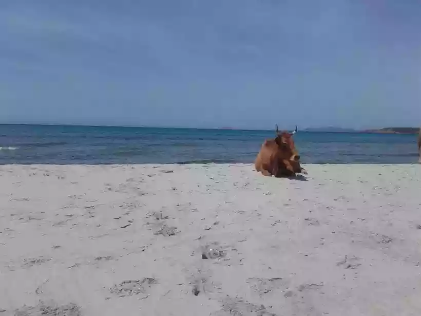 Ingrandisci questa immagine