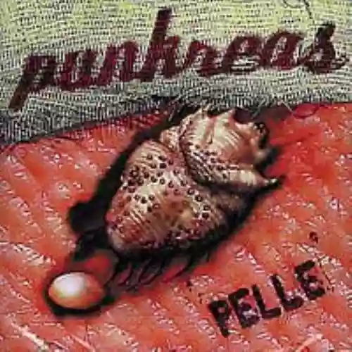 Cover di Pelle