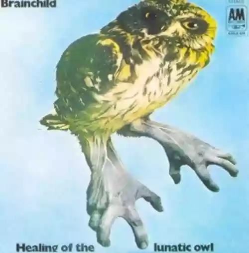 Cover di Healing of the Lunatic Owl