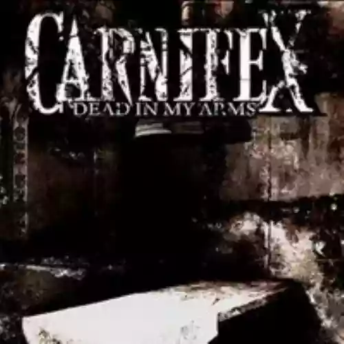 Cover di Dead in My Arms