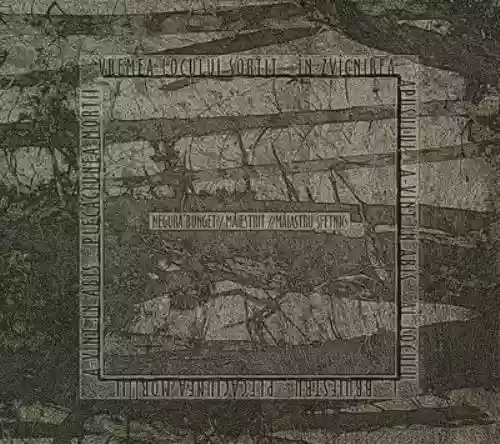 Cover di Maiestrit