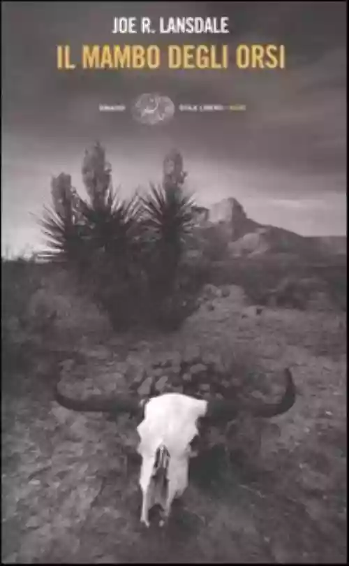 Cover di Il mambo degli orsi