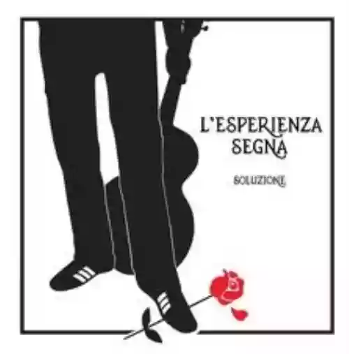 Cover di L'esperienza segna