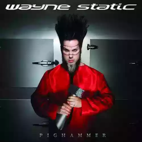 Cover di Pighammer
