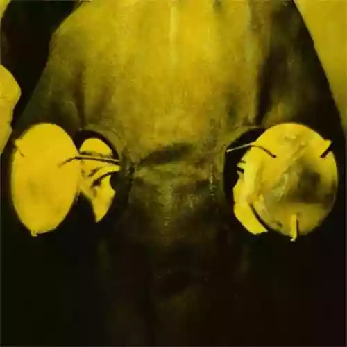 Cover di Brennisteinn (EP)