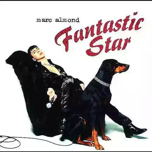 Cover di Fantastic Star