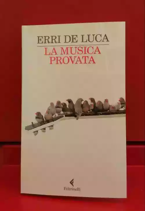Cover di La musica provata