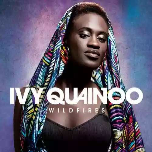 Cover di Wildfires