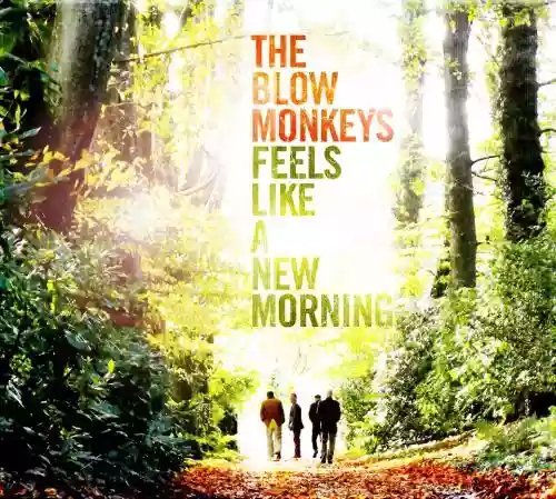 Cover di Feels Like A New Morning
