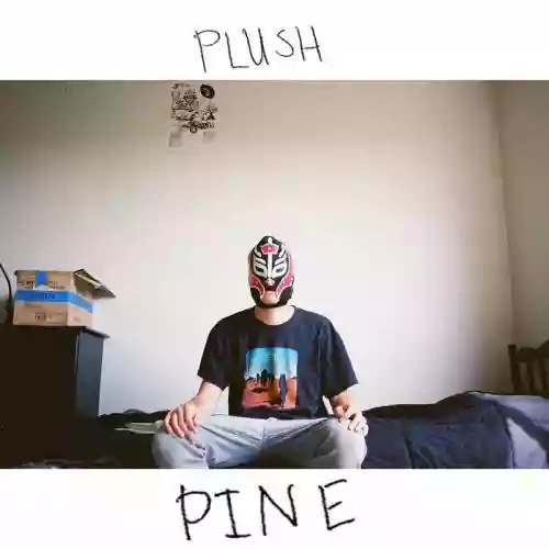 Cover di Pine
