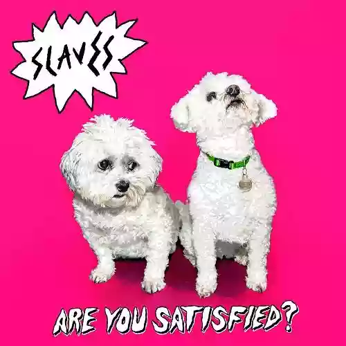 Cover di Are You Satisfied?