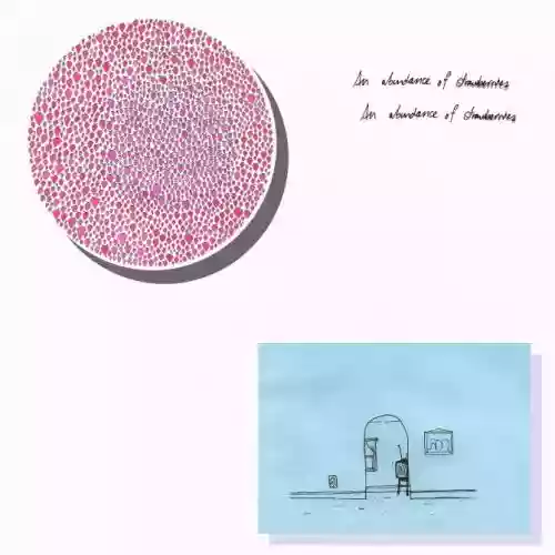 Cover di An Abundance Strawberries