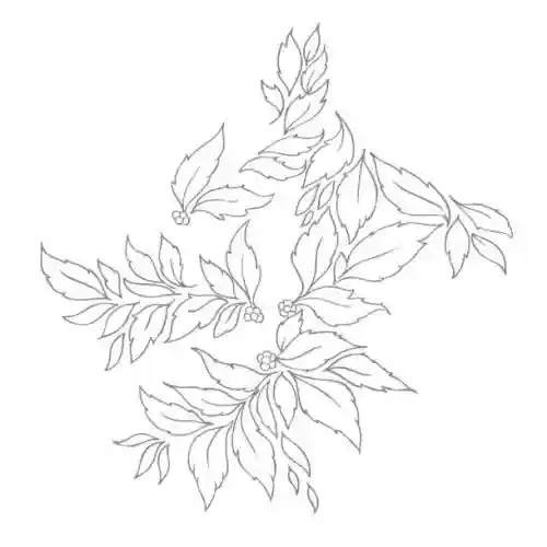 Cover di Momenta Quintae Essentiae