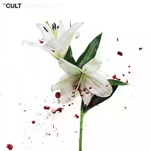 Cover di Hidden City