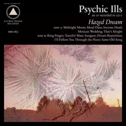 Cover di Hazed Dream