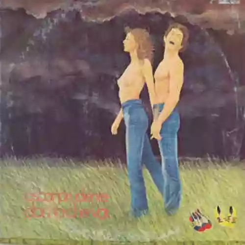 Cover di Donna che vai