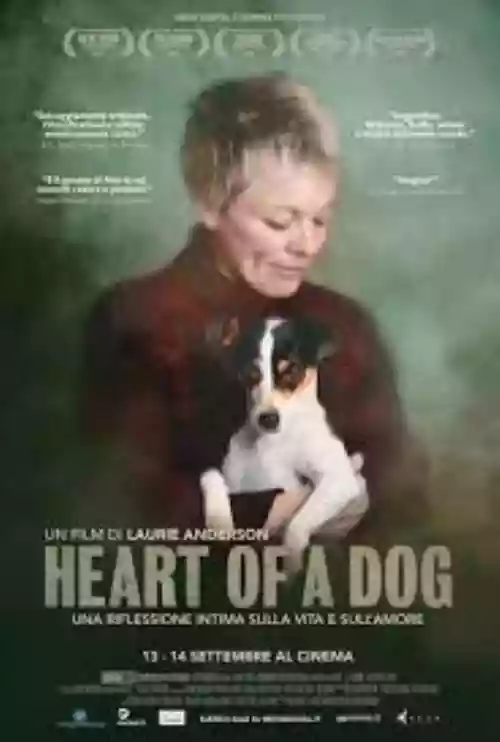Cover di Heart of a Dog