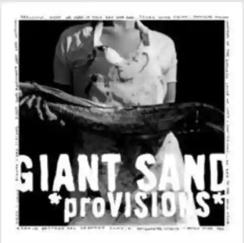 Cover di Provisions