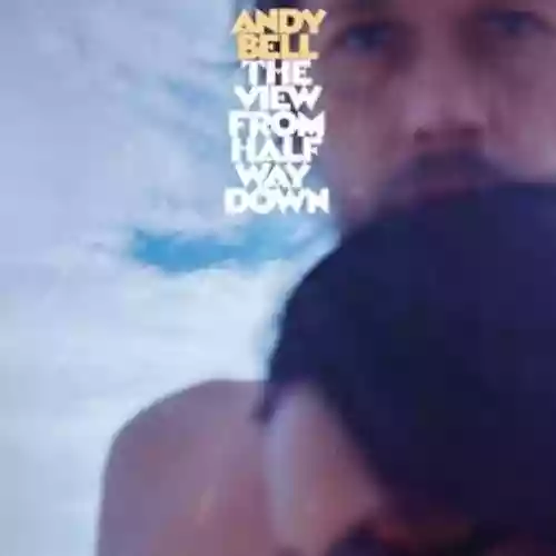 Cover di The View From Halfway Down