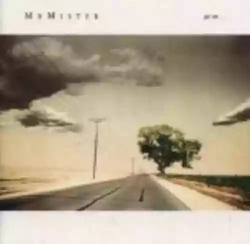 Cover Mr. Mister - Go On...