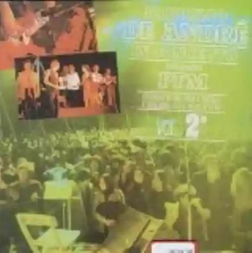 Cover di In concerto (arrangiamenti PFM), Volume 2