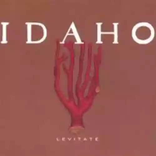 Cover di Levitate