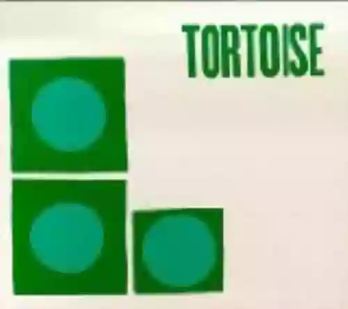 Cover di Tortoise