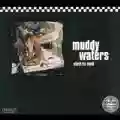 <b>Muddy Waters</b> • Electric Mud